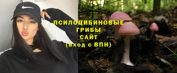 СК Волосово