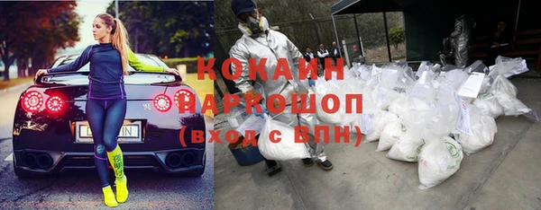 СК Волосово